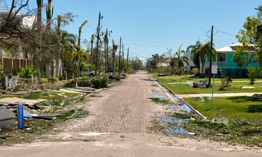 Auckland, Wharangei High Courts respond to Cyclone Gabrielle