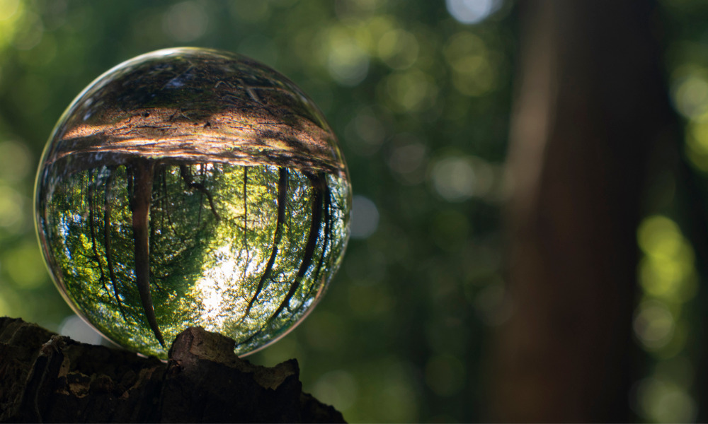 NZ government launches measures to safeguard native biodiversity