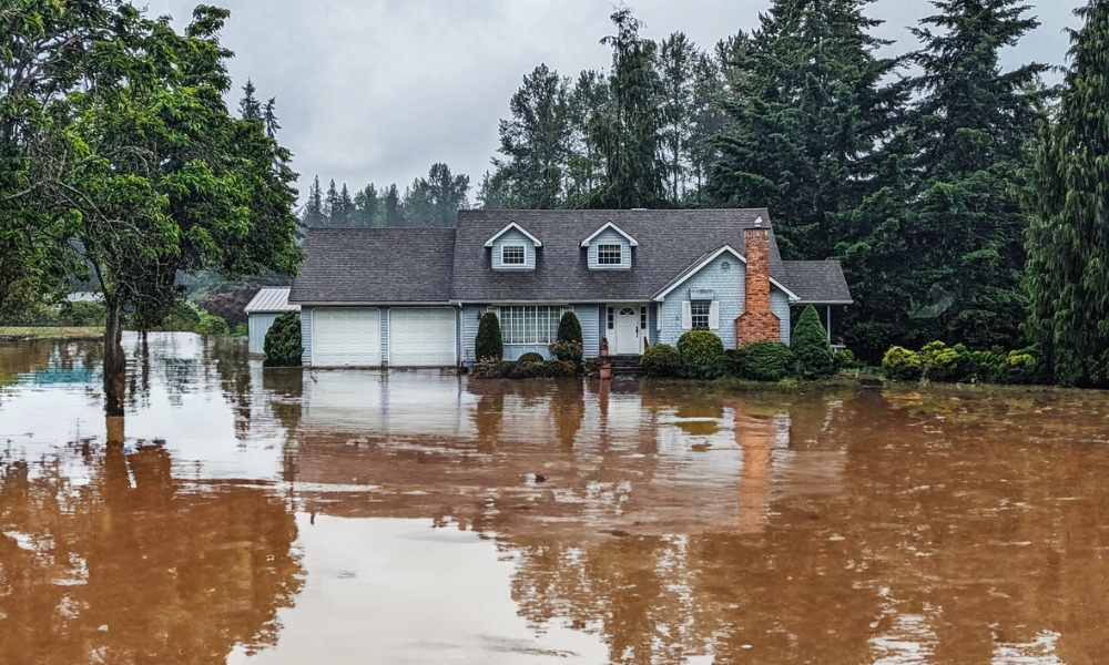 Temporary RMA changes pitched to bolster Māngere flood mitigation efforts