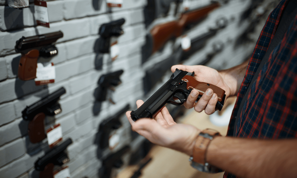 Recently introduced Arms Bill updates over 60 offences, adds eight