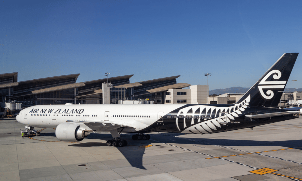 Court of Appeal gives Air New Zealand leave to appeal Employment Court ruling in captain’s favour