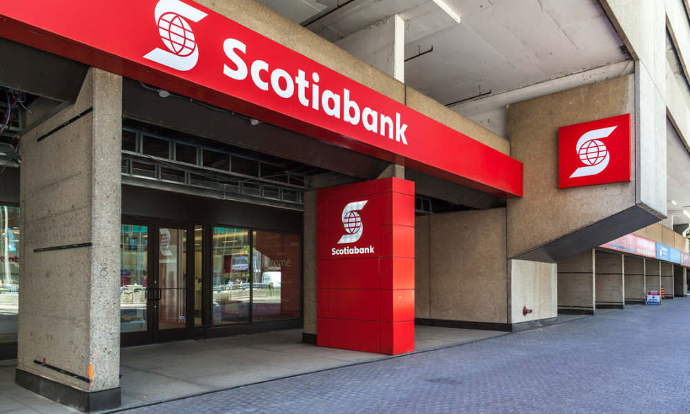 Scotiabank profits down in Q4
