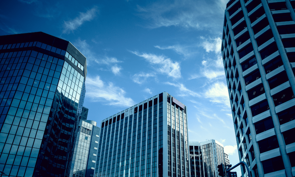 Business levies in New Zealand face regulatory scrutiny