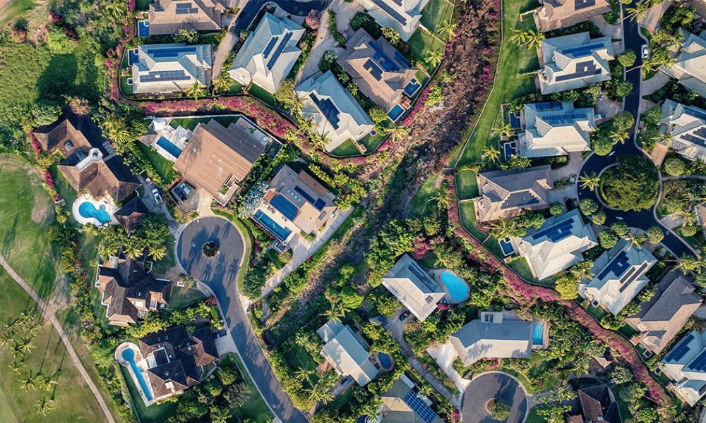 Specialist landlords are rising and advice is in demand