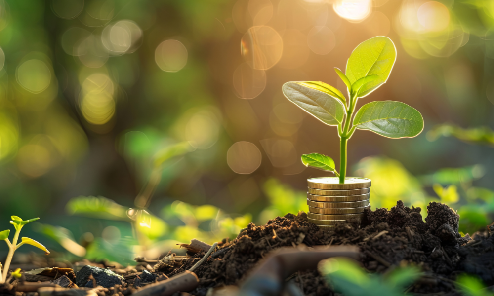 How Aldermore puts purpose into practice