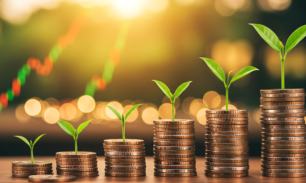 The basics in picking mutual funds for new investors 