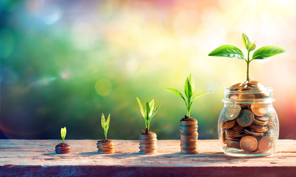 Making the most out of low-risk investments 