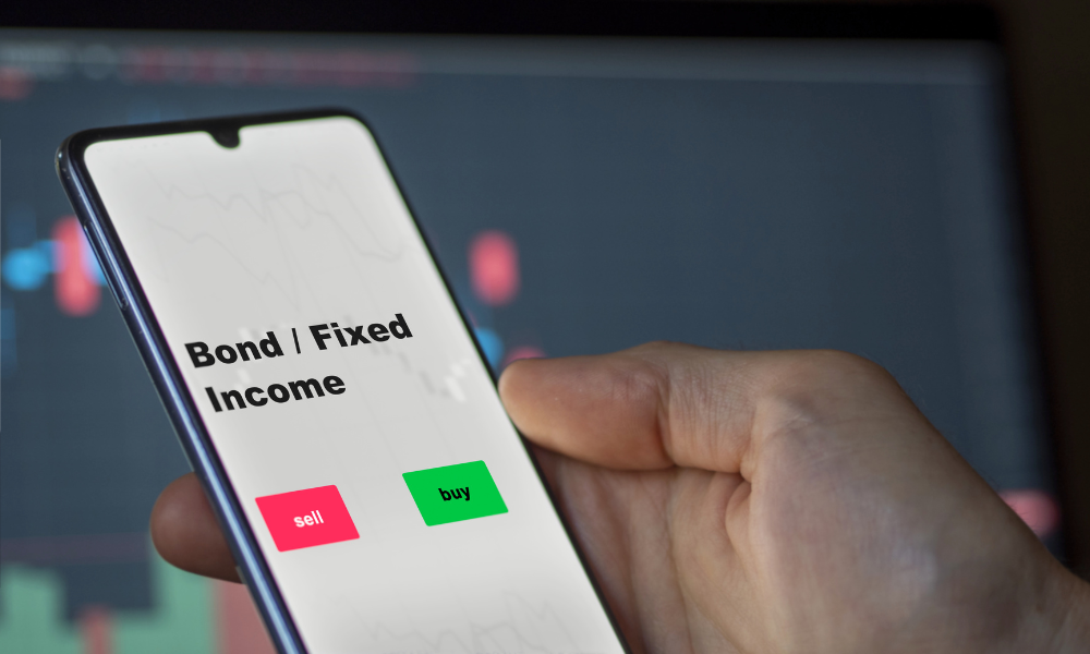 How fixed-income instruments can help investors build portfolio stability 
