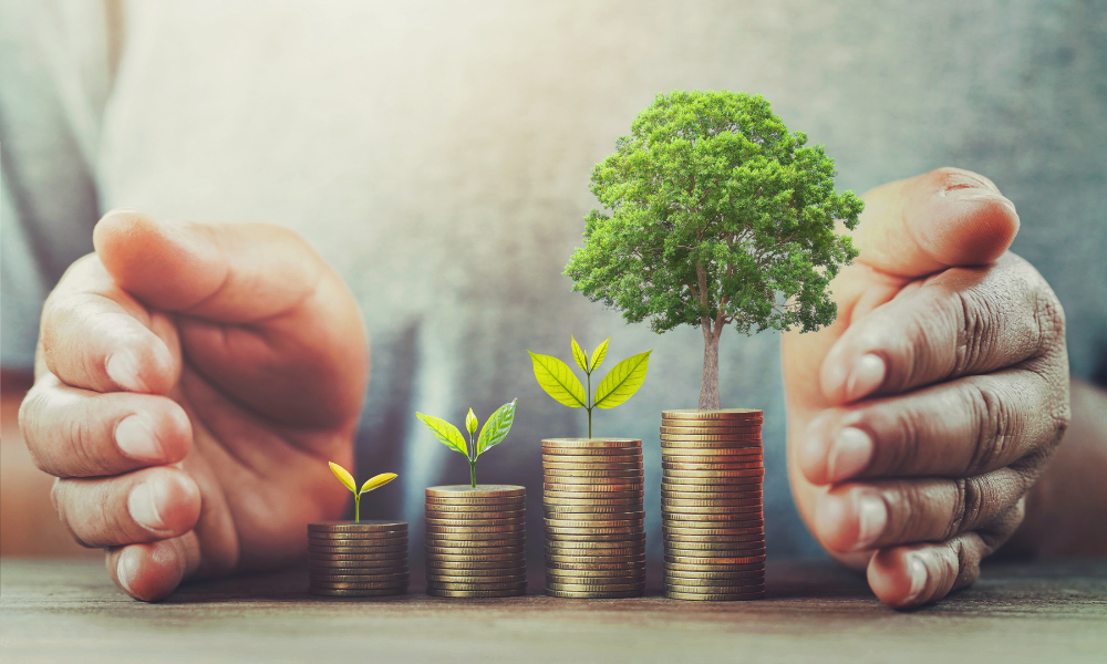 Types of investment vehicles for growth and high returns 