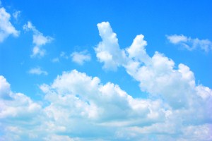 Blog: Why we chose a cloud-based HR system