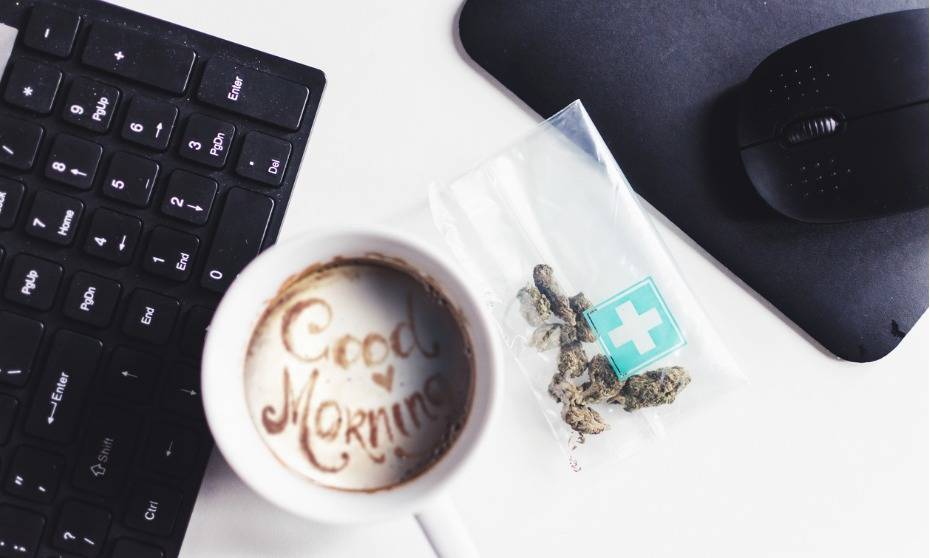Marijuana in the workplace: everything you need to know