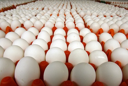 What HR needs to learn from Egg Farmers