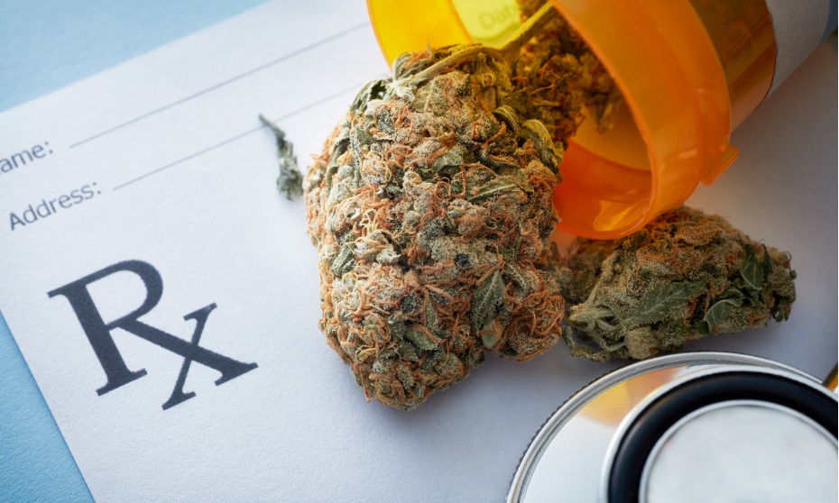Employer’s decision to refuse employment to medical marijuana user upheld