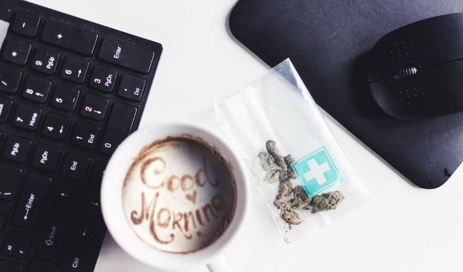 Marijuana and the workplace: The main misconceptions laid bare