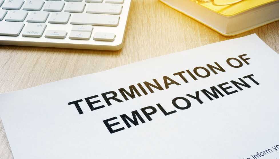Employees terminated without redundancy, shown jobs in NZ