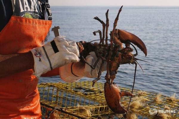 Lobster fishers reminded to practise safety as season starts