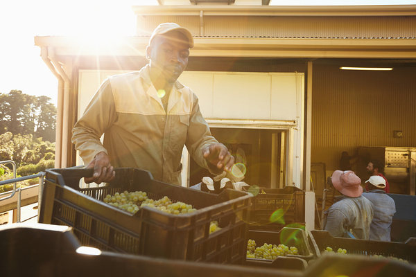 Outdoor workers have 3 times greater risk of skin cancer