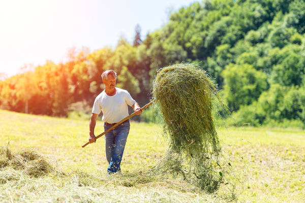 12 ways to protect workers from the sun