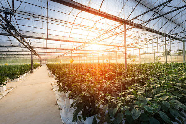 Robot pins worker, plant grower fined $55,000