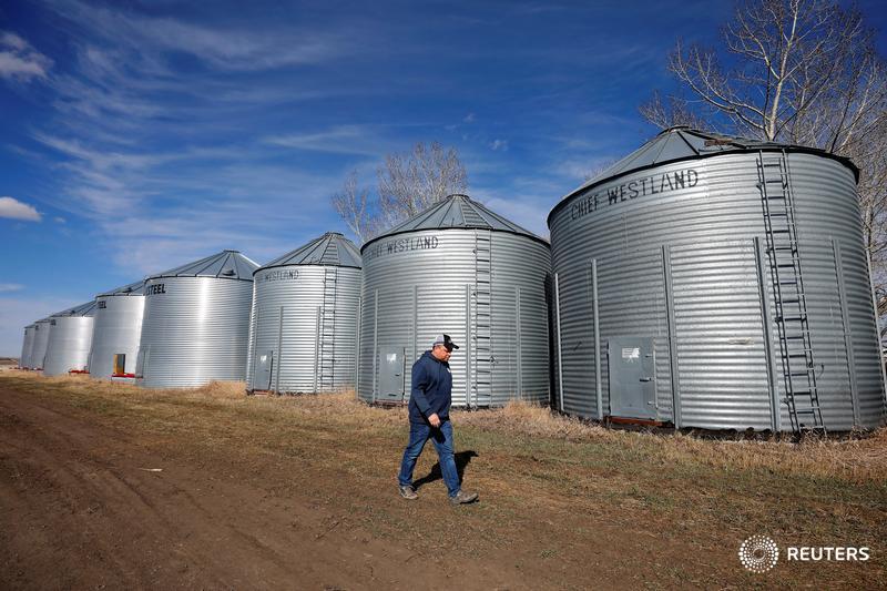 MPs demand more federal help as mental health issues rise on farms