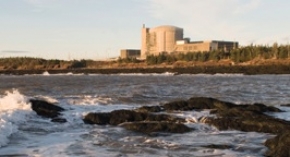 Radiation from Japan's nuclear plant detected in New Brunswick 