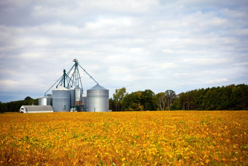 Ontario looking to boost productivity in agri-food sector
