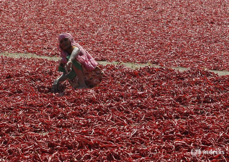 Who's the boss? We are, say India's women farmers battling superstition, patriarchy