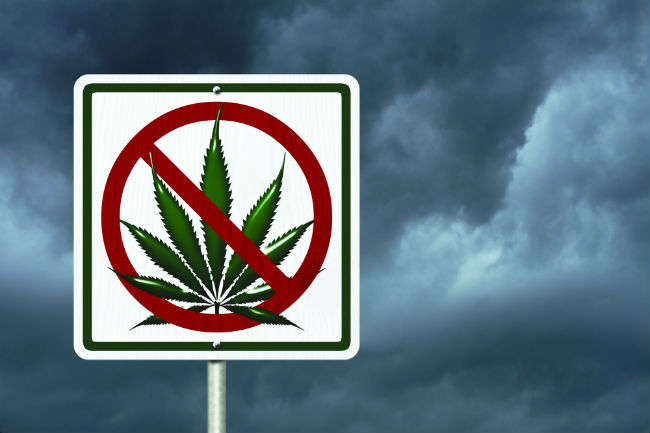 Saying no to cannabis