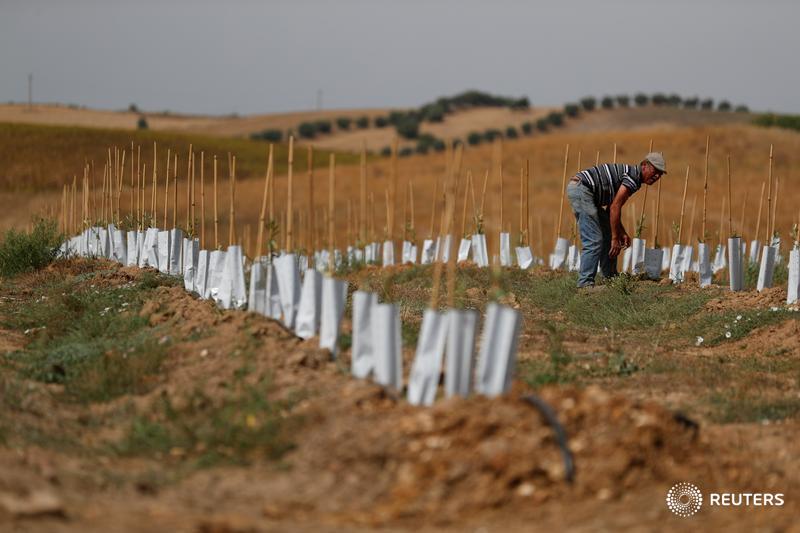 Portugal's loss of working-age population seen among worst in OECD