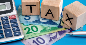 Canada's top corporate tax litigation lawyers