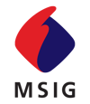 MSIG Holdings