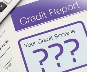 Comprehensive credit reporting: the Naked Borrower
