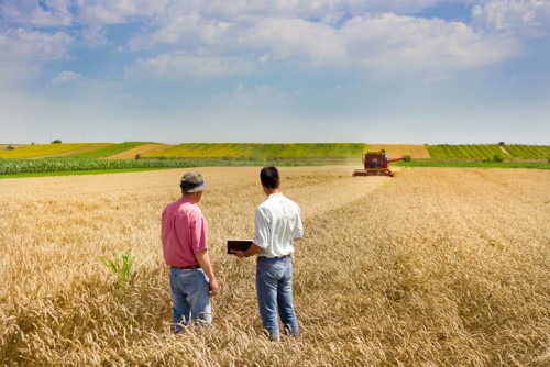 How brokers can make their mark in agribusiness