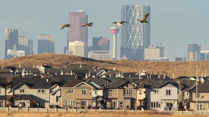 Alberta mortgage and land fees soar in budget