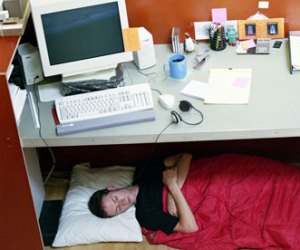 Power nap on the boardroom table? 