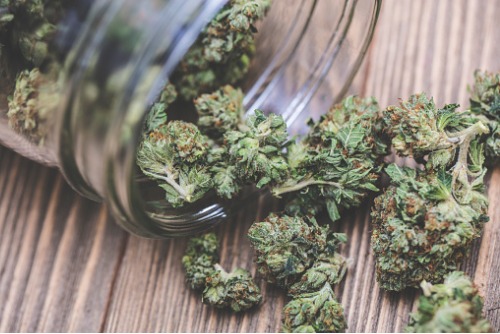 Major U.S. cannabis company prepares to trade in Canada