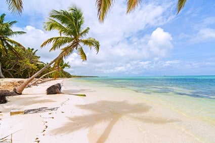 Why this tech company offers four weeks’ vacation