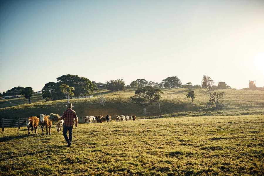 Lockdown takes a toll on farm sales