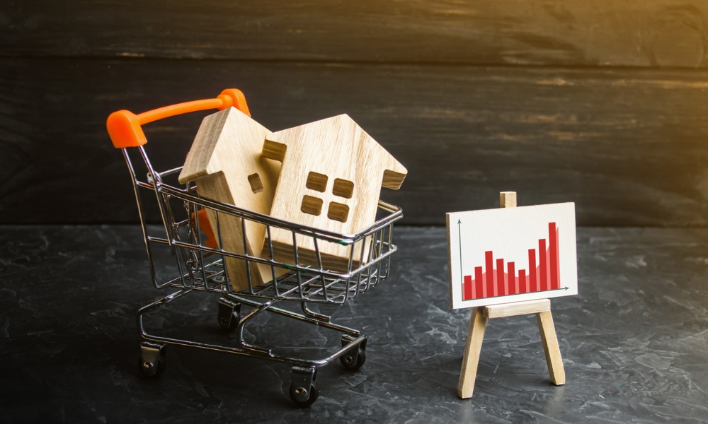 REINZ and Alexander deliver the latest buyer activity in the housing market