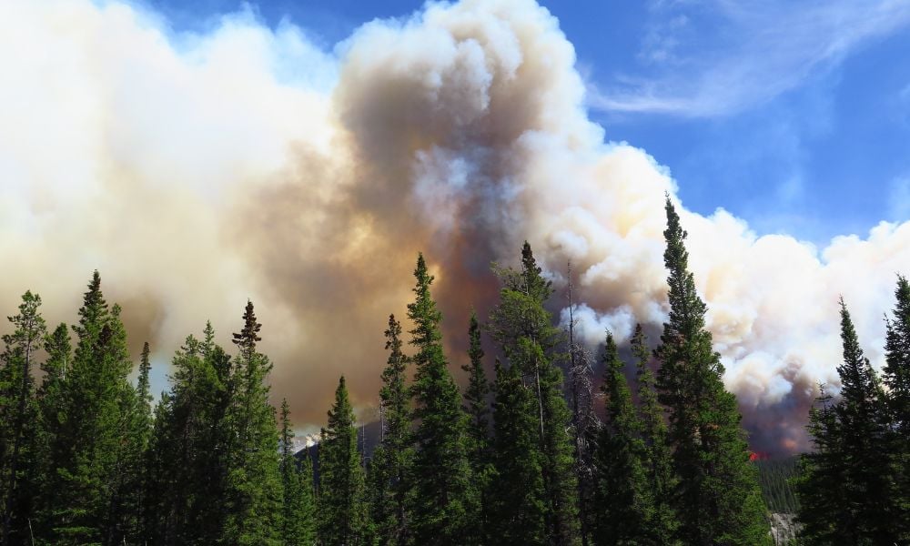 Carney courts oil sector as Alberta wildfires slash 344,000 bpd from Canada's output