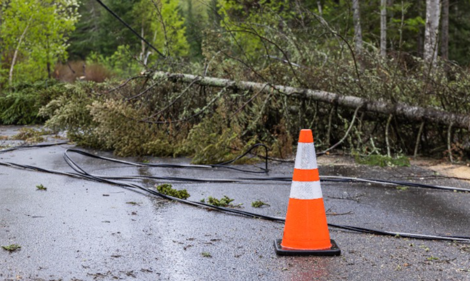 Is your business weatherproof? Canadian executives aren't so sure