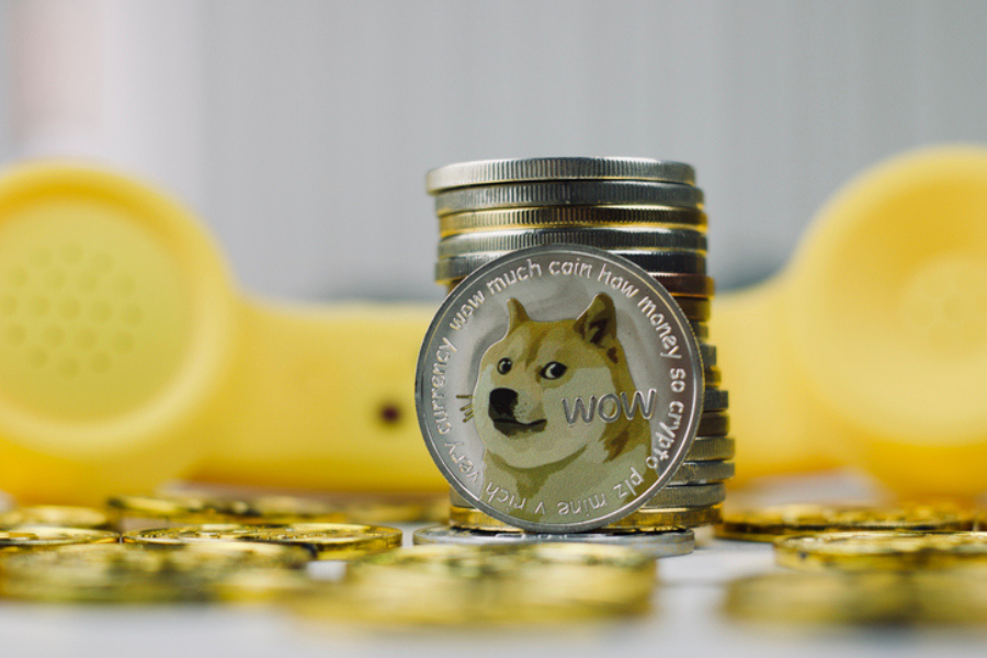 Musk, Tesla win dismissal of Dogecoin 'pyramid scheme' suit