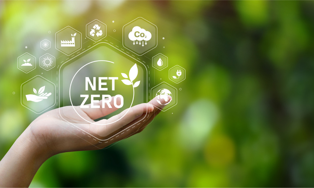 Navigating the Transition to Net Zero
