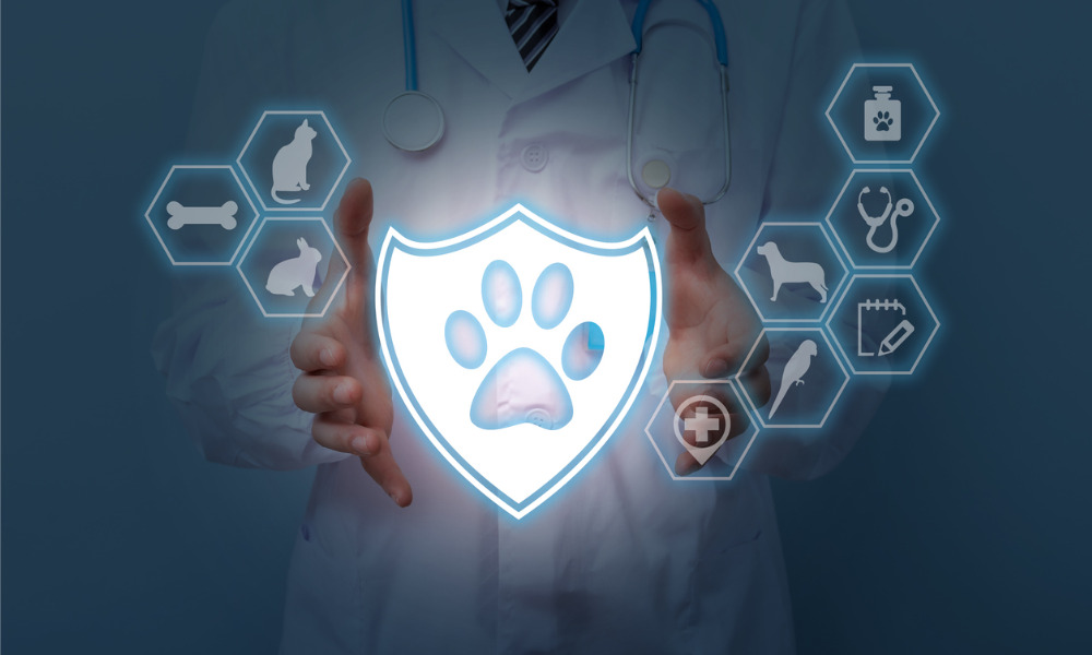 Why pet insurance is becoming a must-have employee benefit