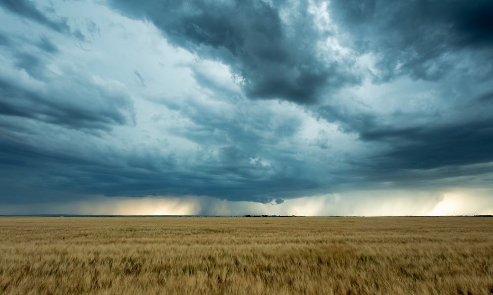 Can Canadian businesses weather the climate storm?