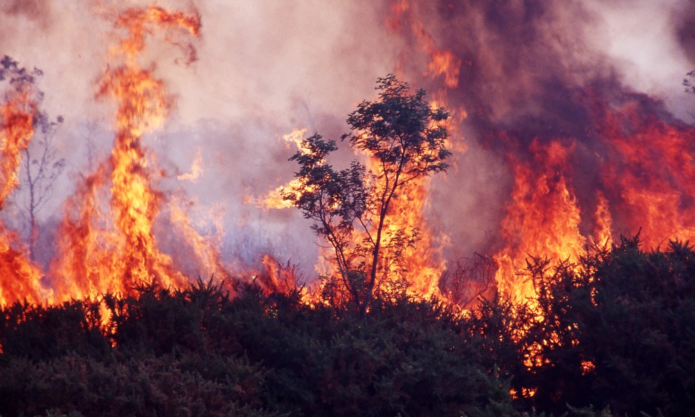 Wildfires force evacuations at Alberta oilsands sites