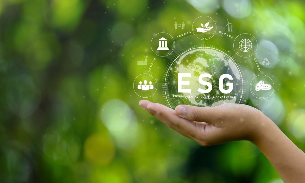 ESG is maturing but how does that look to asset managers?