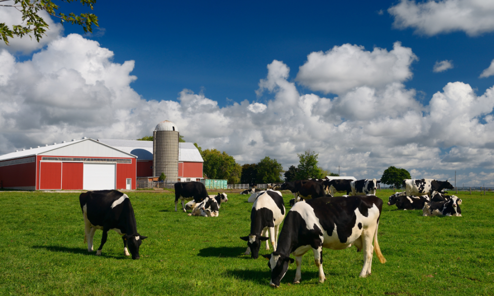 US tariff threat looms over Canada's agriculture