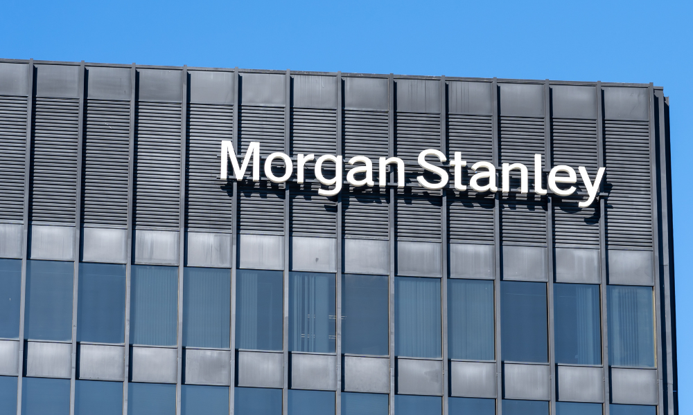 Morgan Stanley sees these stocks as good bet despite 17-year high