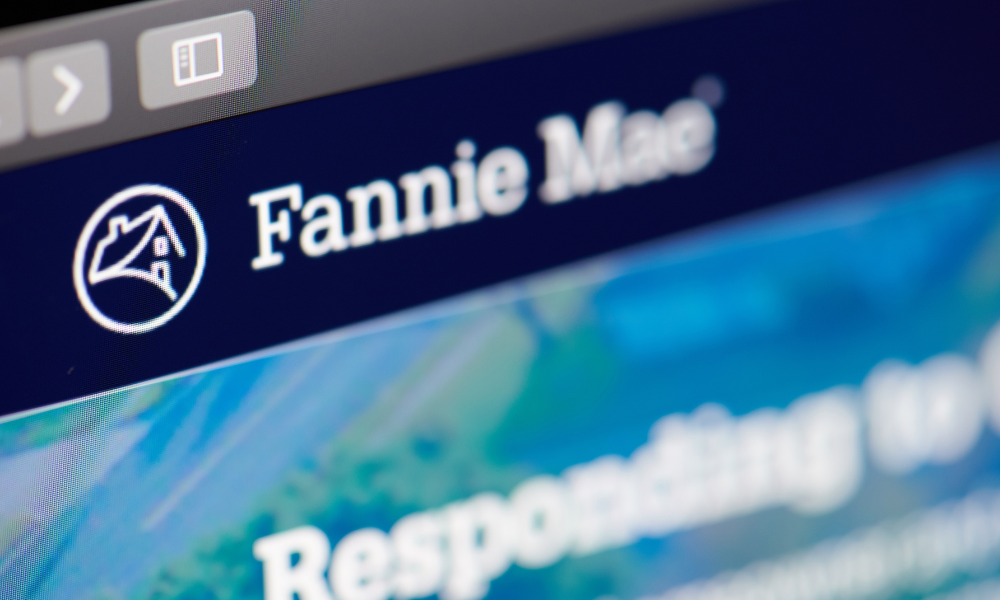 Trump considers making Fannie Mae, Freddie Mac public